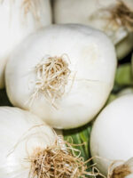 Bulbi Aglio Bianco
