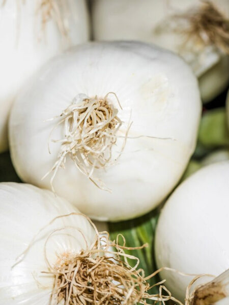 Bulbi Aglio Bianco