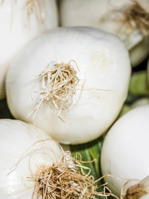 Bulbi Aglio Bianco