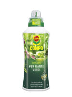 Concime Piante Verdi