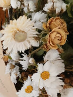 Fiori secchi