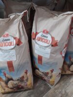 Mangime per polli
