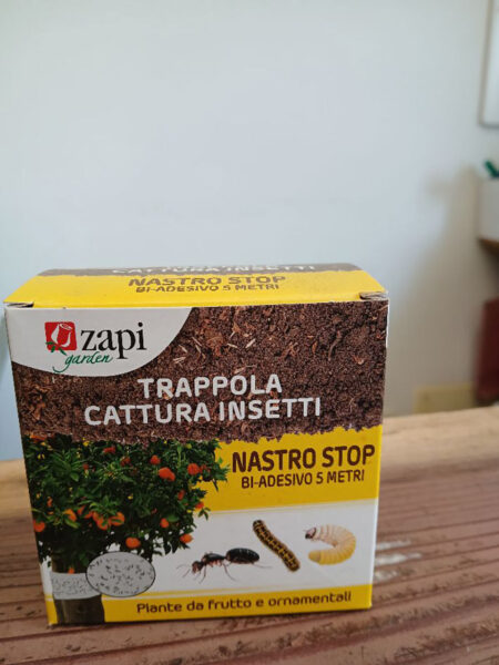 Nastro cattura insetti