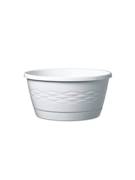 Vaso Nuova Alfa