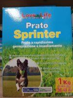 Semi prato a rapidissima germinazione