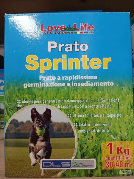 Semi prato a rapidissima germinazione