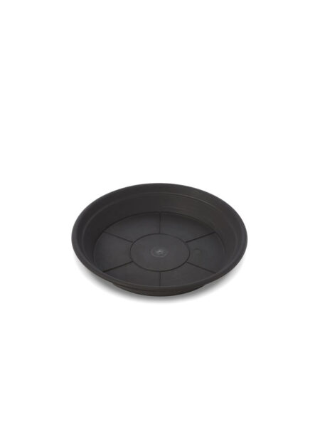 Sottovaso Leader