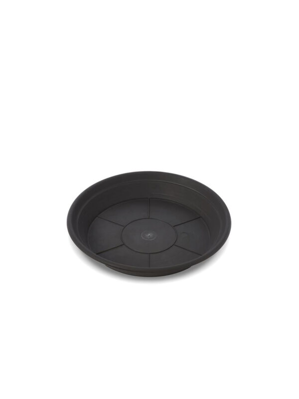Sottovaso Leader
