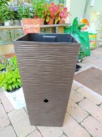 Vaso anti zanzare