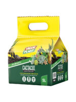 Terriccio Cactacee