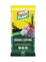 Terriccio Gerani e Surfinie