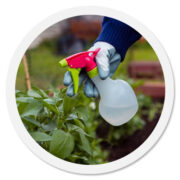 Cura e protezione casa e giardino