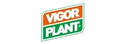 Vigor Plant
